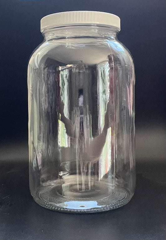 1 Gallon Glass Jar Wide Mouth With Plastic Lid